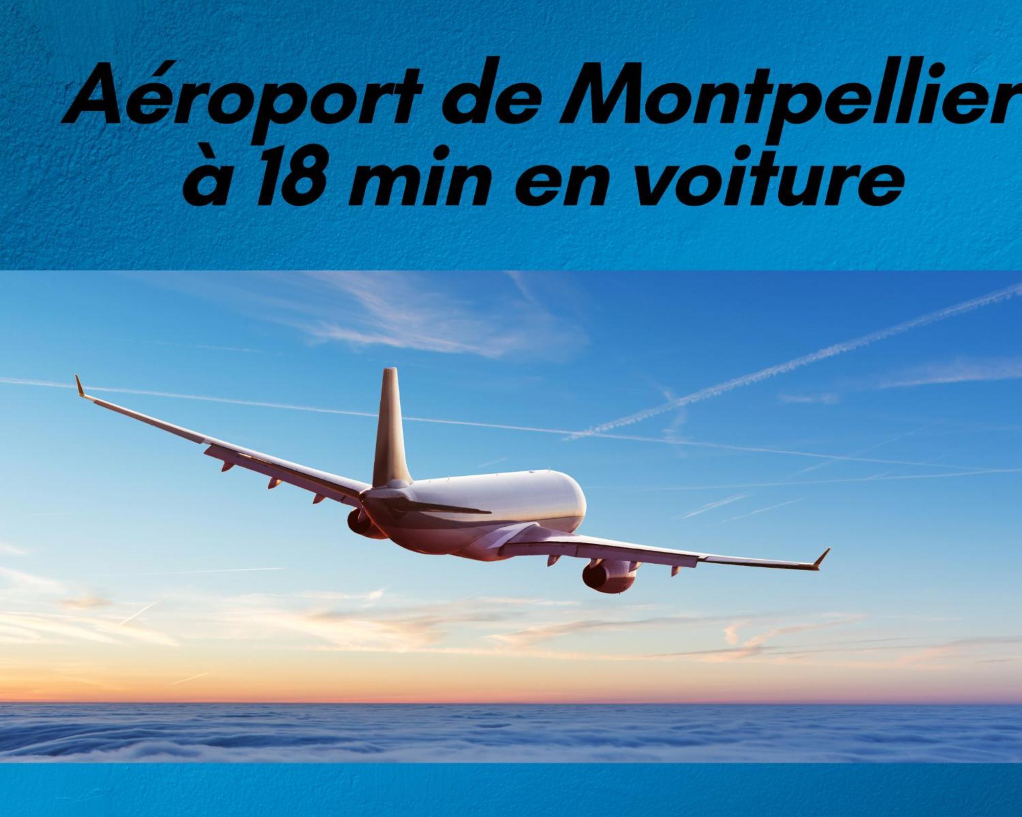 Nouveau L'authentique Duplex Proche Gare Apartment Montpellier